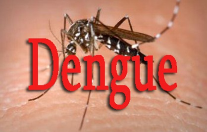 Dengue Salud Experto Cubano
